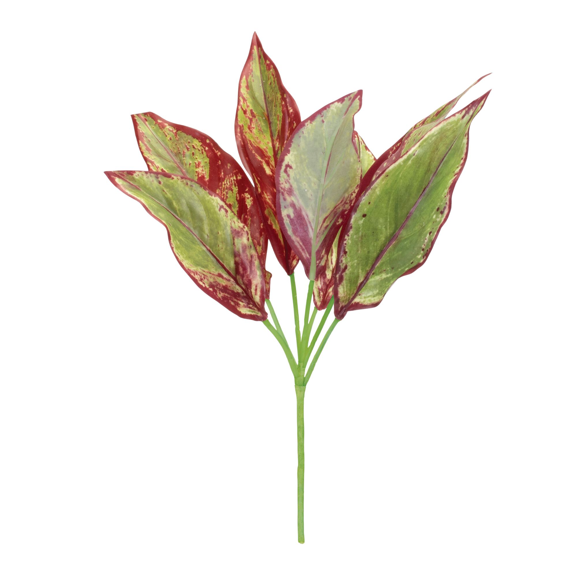 Variegated Foliage Plant (Set of 6), GREEN/PURPLE, alternate image number 1