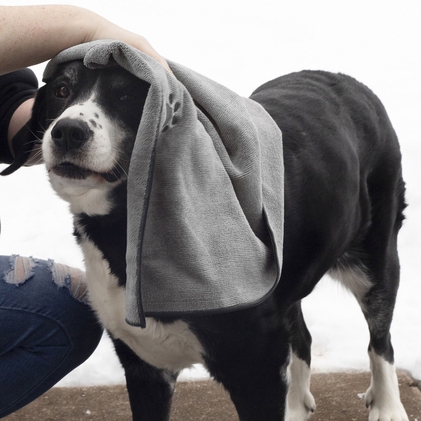 Embroidered Microfiber Pet Towel, Small, 3 Pieces, , alternate image number 2