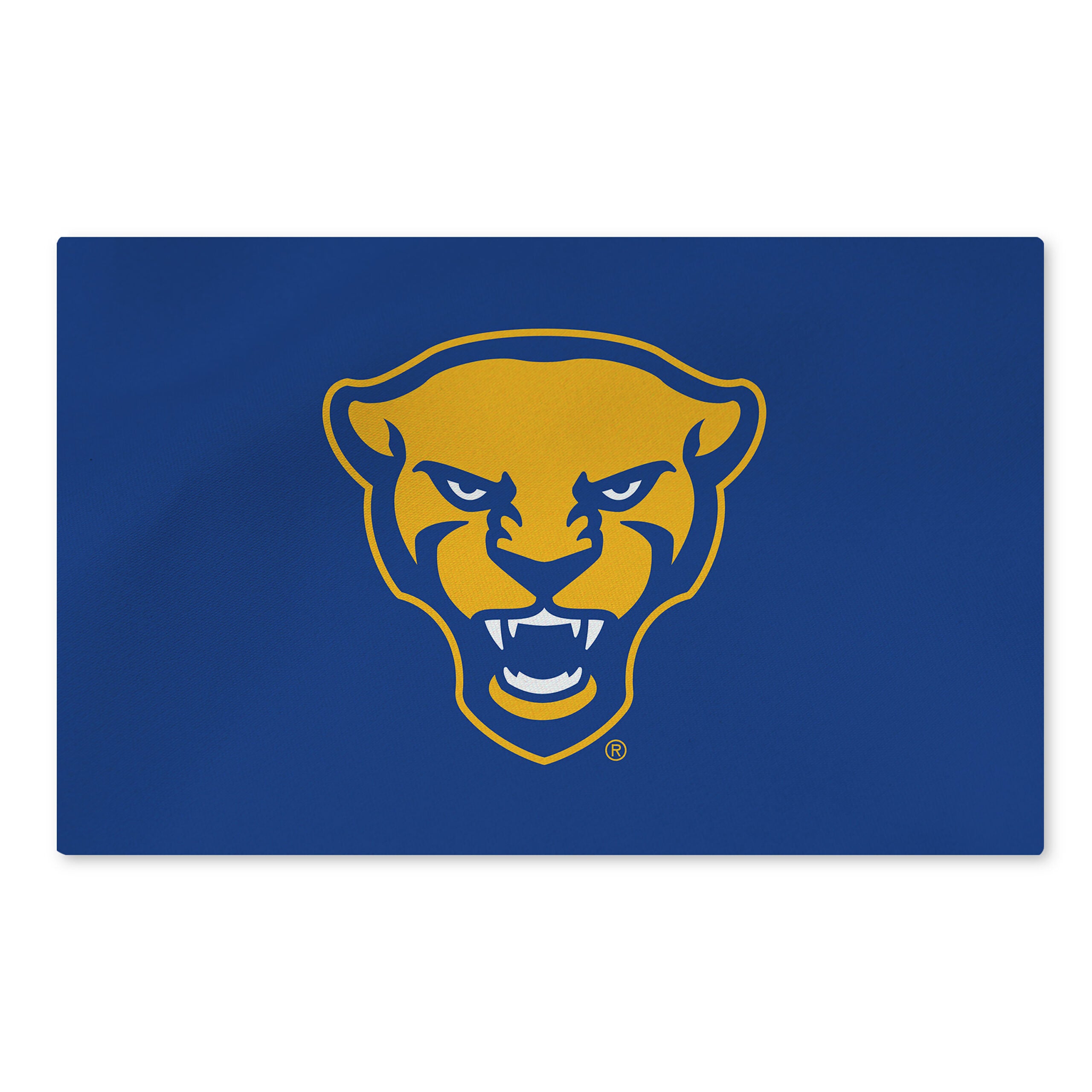 NCAA Logo Washable Rug 20x32 inches, PITTSBURGH PANTHERS, hi-res image number 0