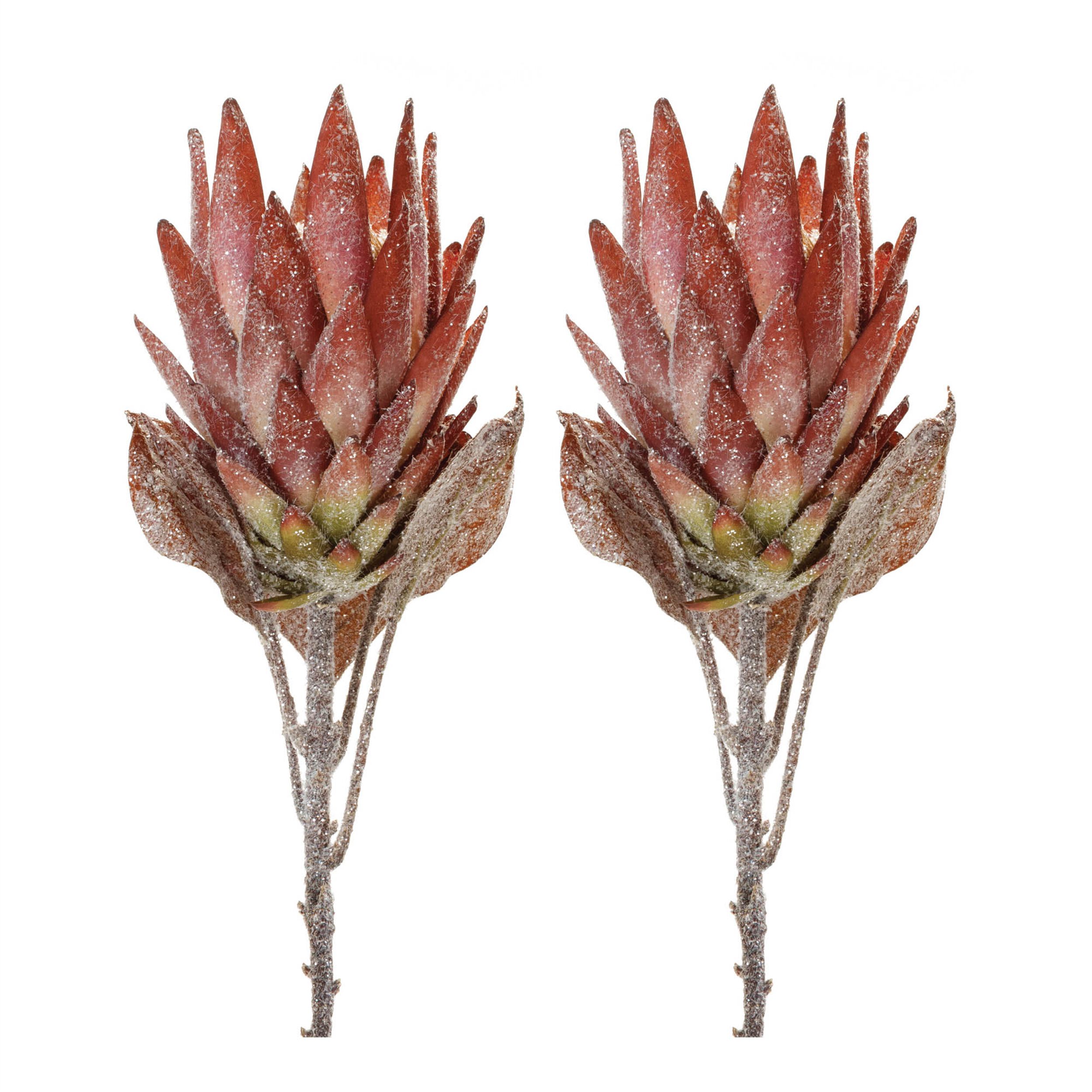 Orange Protea Flower Stem (Set of 2), ORANGE GREEN, alternate image number 2