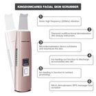 Panther Ultrasonic Facial Massager, , alternate image number null