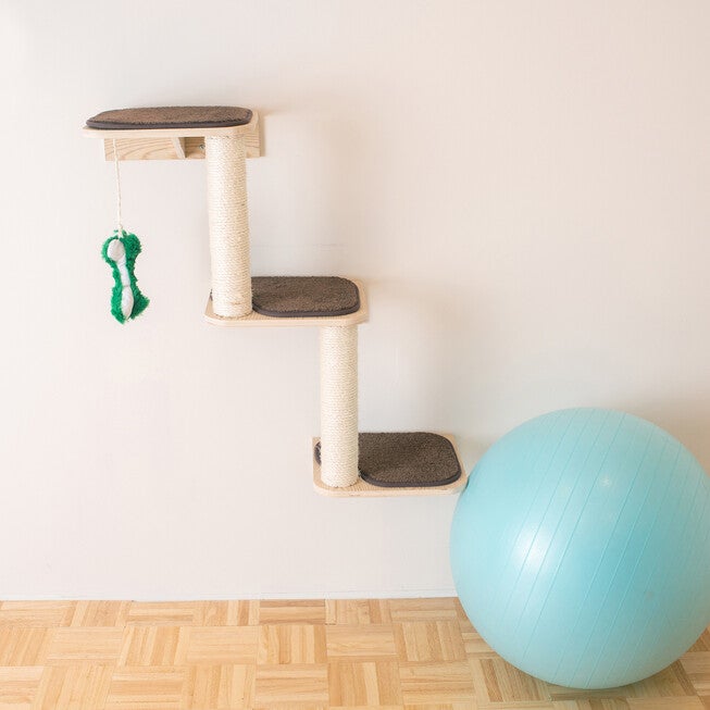 Real Wood Wall Series: Cat Dog Pet Steps, , alternate image number 4