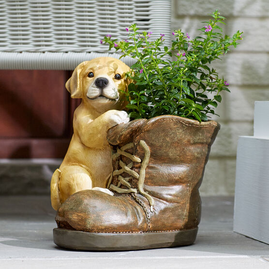 Dog with Boot Planter, MULTI, hi-res image number null
