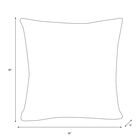 18" Decorative Pillow, , on-hover image number 1