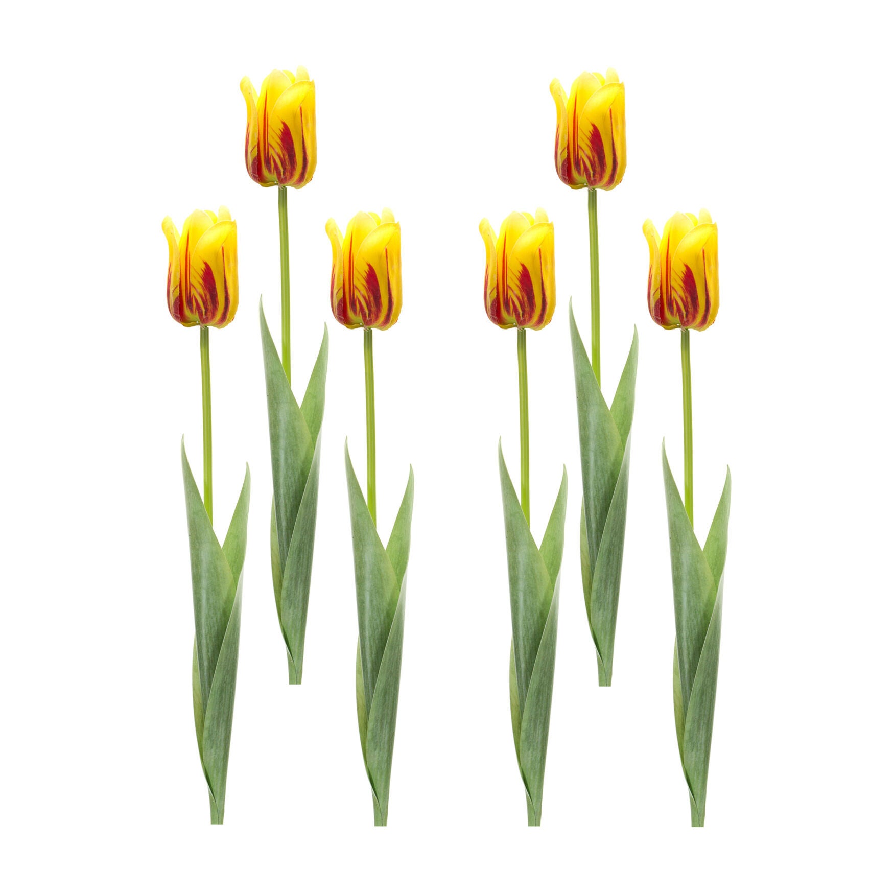 Yellow And Red Tulip Stem (Set Of 6), , alternate image number 3