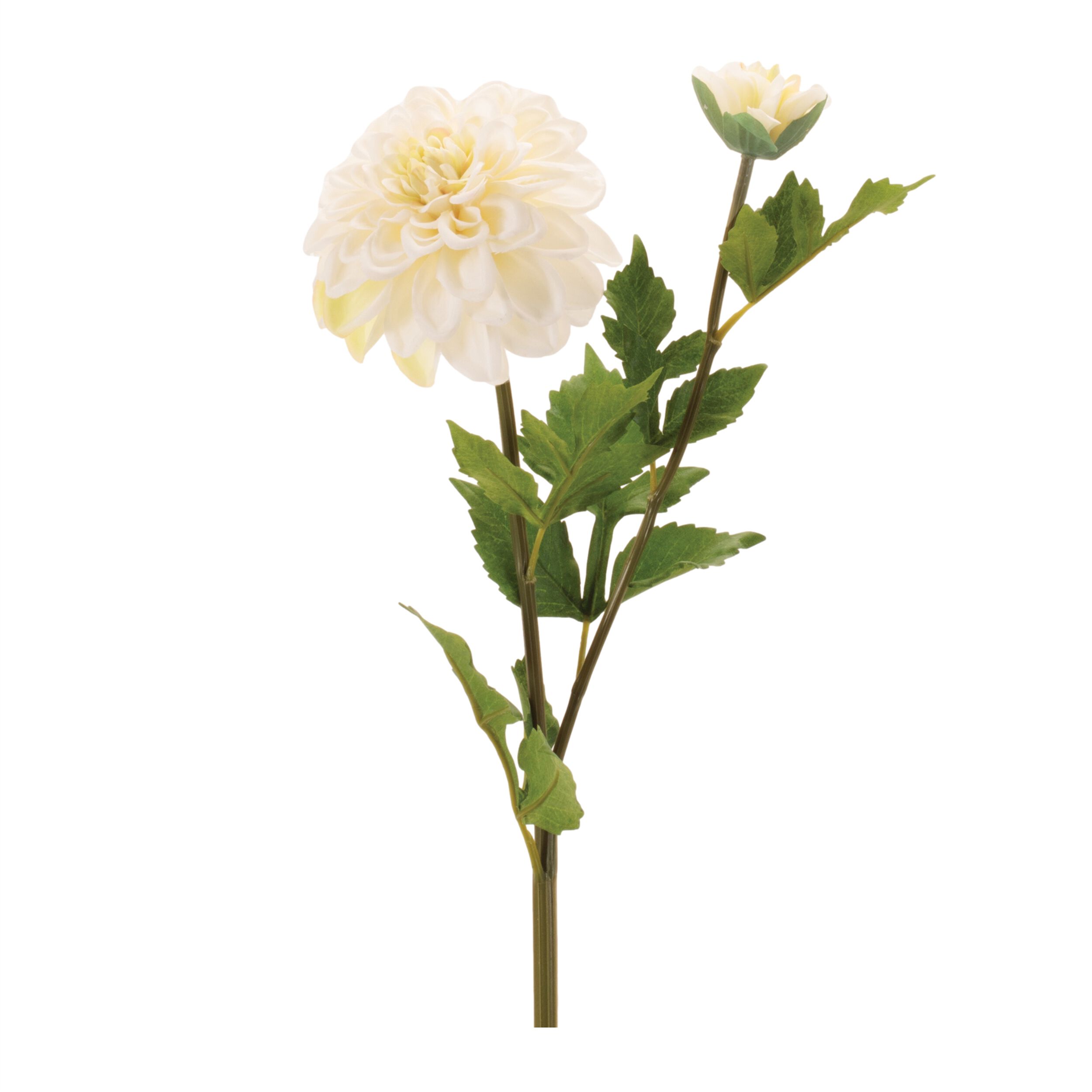Dahlia Flower Stem Set of 6, WHITE GREEN, hi-res image number 0