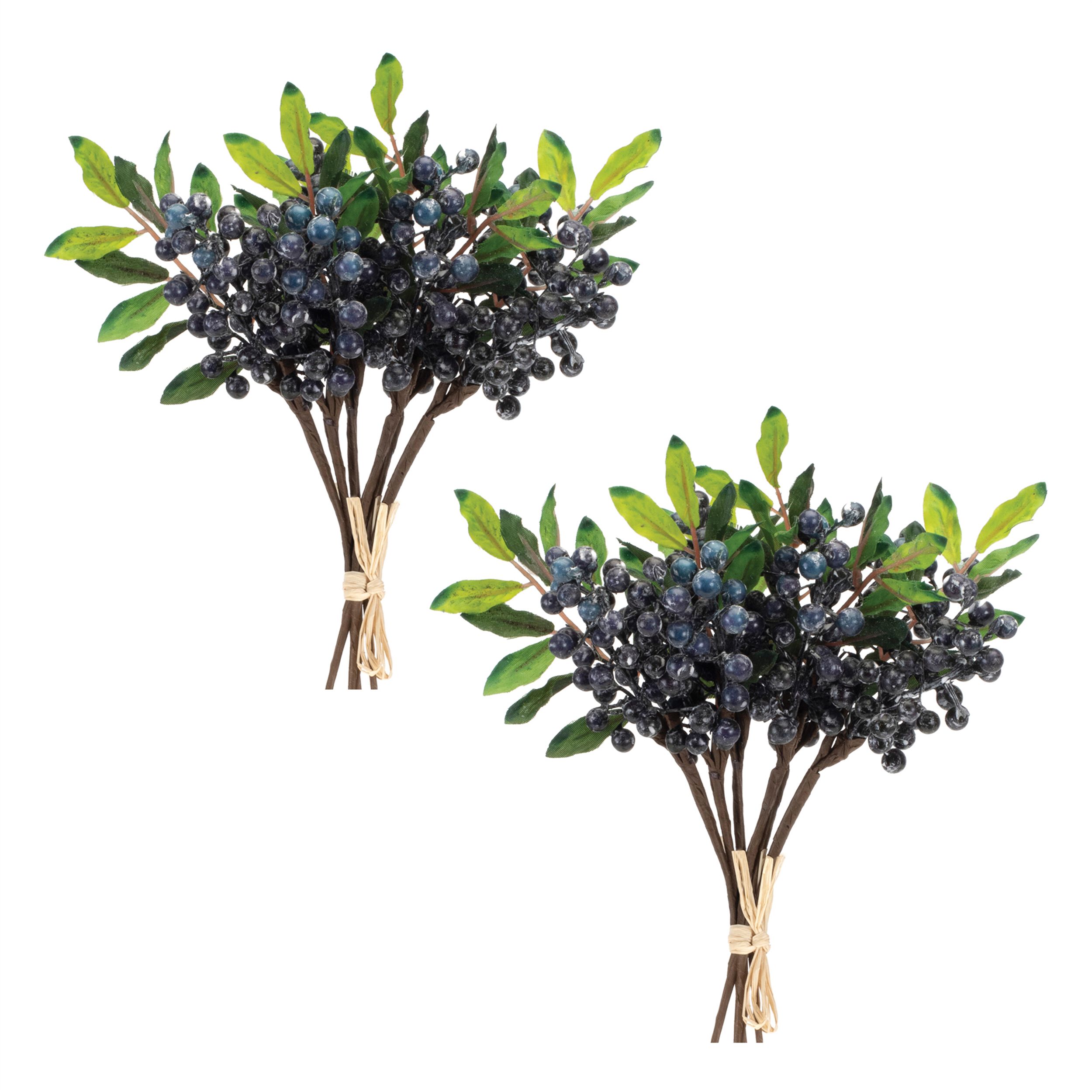 Blue Berry Foliage Bundle (Set of 2), BLUE GREEN, alternate image number 2