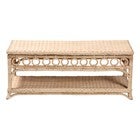 Natural rattan coffee table with decorative ring shelf front