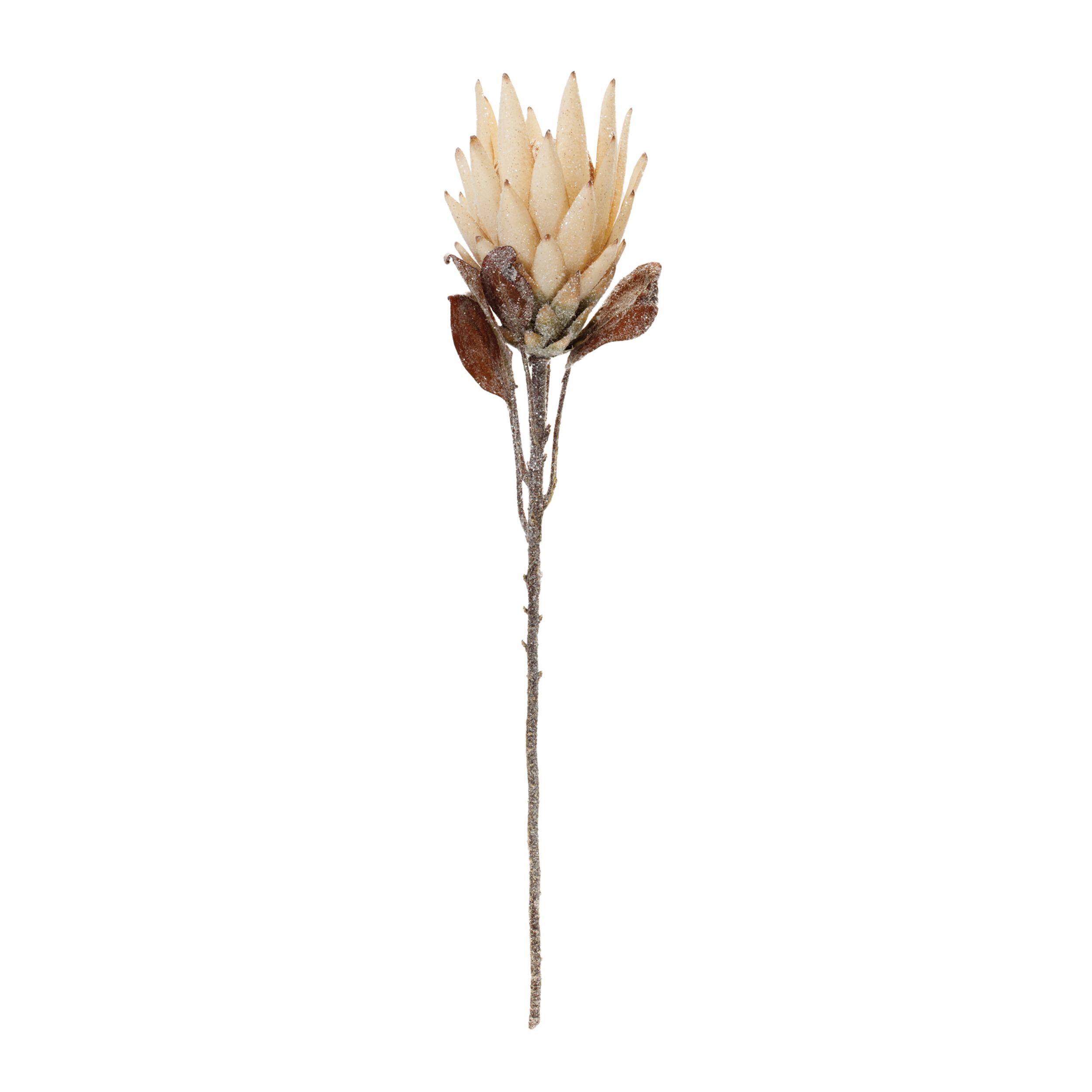 Beige Protea Flower Stem (Set of 2), BEIGE BROWN, alternate image number 1