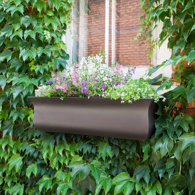 Valencia 3' Window Box, ESPRESSO, hi-res image number null