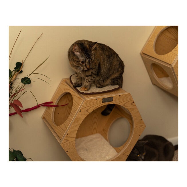 Armarkat Real Wood Wall Series: Set Of Two Natural Wood Wall Tree Additions W2107A Cat Tree, , alternate image number 5