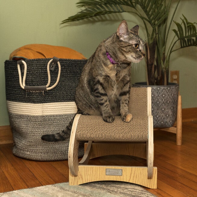 Armarkat Real Wood Medium Wooden Cat Rocking Chair, Detachable Cat Swing Chair S1302 Cat Chair, , alternate image number null