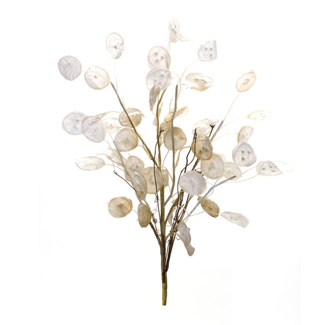 Ivory Silver Dollar Eucalyptus Spray (Set Of 2), BROWN, hi-res image number null