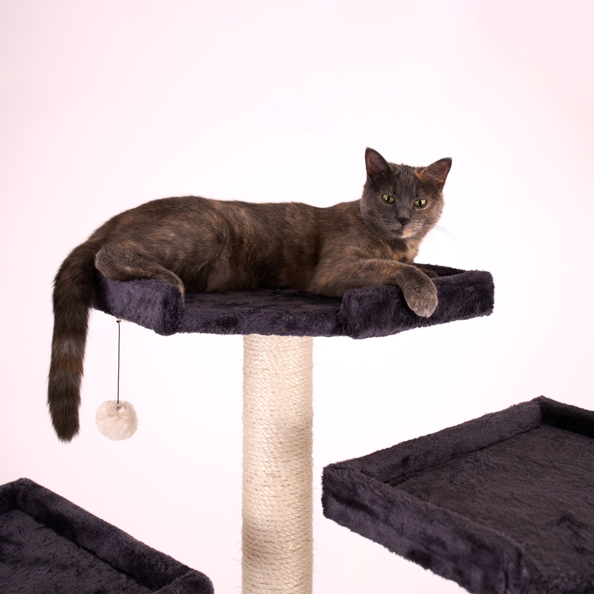 82 Inches Multi-Level Big Cat Tree. Tall Multi-Cats Tower with 2 Big Cat Condos A8202, DARK GRAY, alternate image number 6