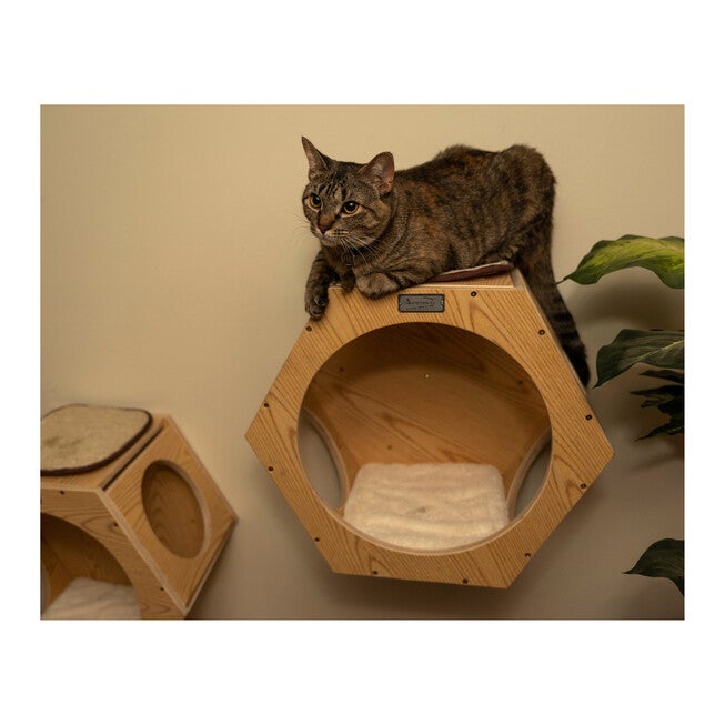 Armarkat Real Wood Wall Series: Set Of Two Natural Wood Wall Tree Additions W2107A Cat Tree, , alternate image number 4