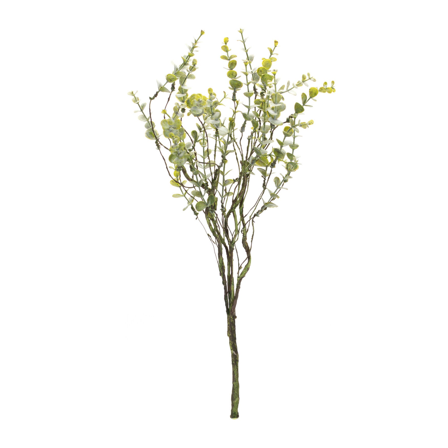 Boxwood Twig Foliage Spray (Set Of 6), , on-hover image number 1