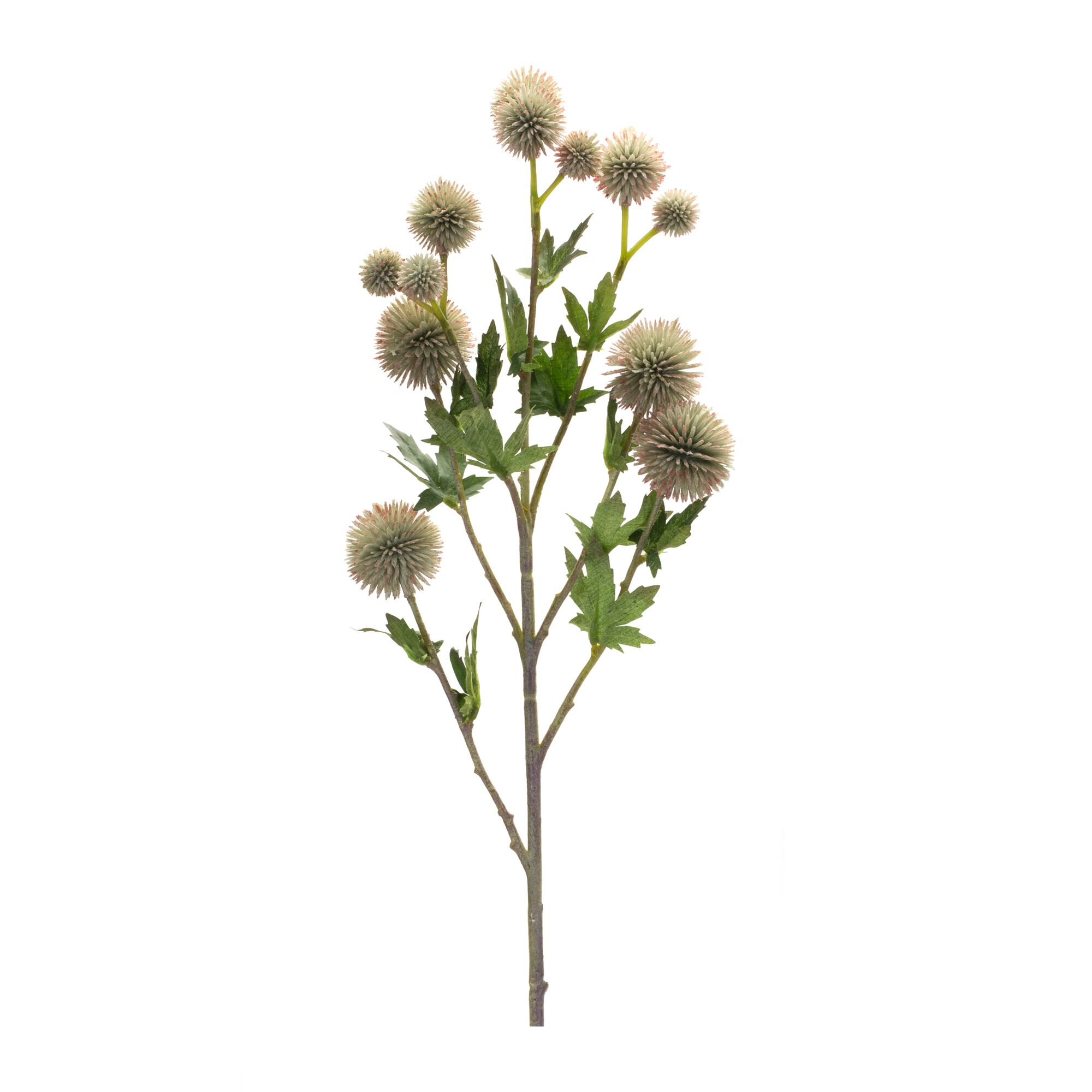 Allium Spray (Set of 6) 26 inchesH Plastic/Polyester, GREEN/BROWN, alternate image number 1