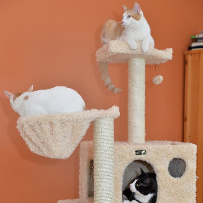 Mult-Level Real Wood Cat Tree Hammock Bed, Climbing Center, , alternate image number null