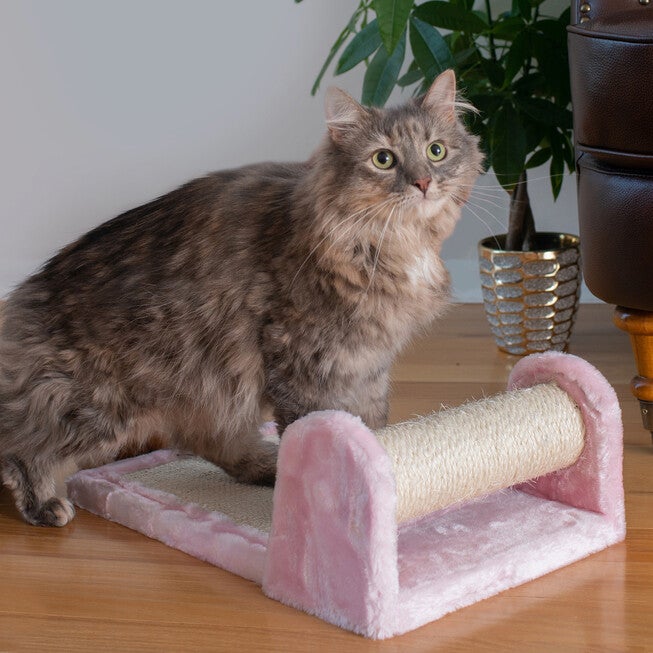 Real Wood Rolling Cat Scratcher Toy, Sisal Scratching Board, , on-hover image number 1