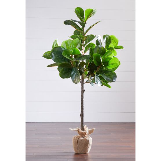 4¼' Fiddle Leaf Fig Tree with Burlap Wrap, GREEN, hi-res image number null