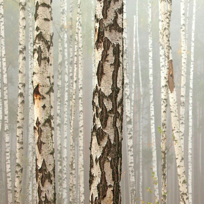 All Weather All Season Outdoor Canvas Art, MULTI, hi-res image number 0