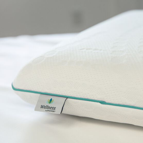 SensorPEDIC Fresh - Eucalyptus Infused Memory Foam Pillow, , alternate image number null