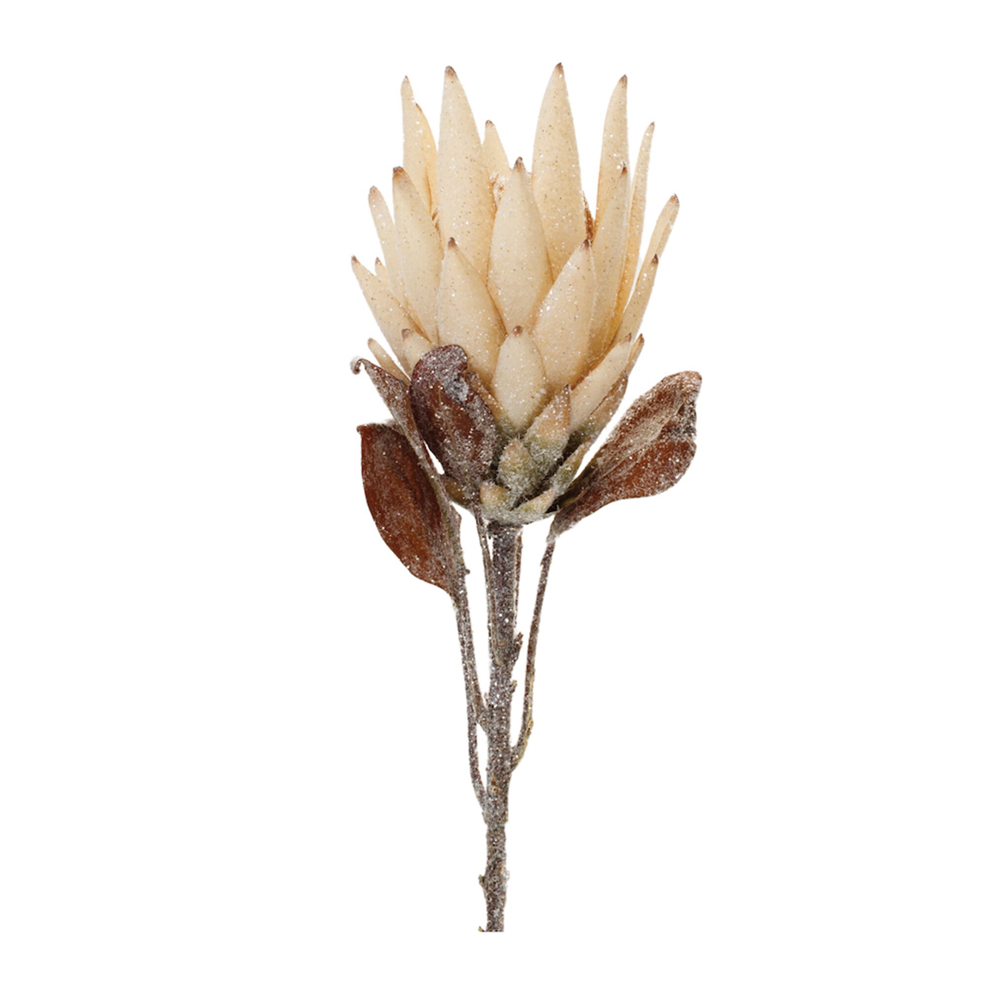 Beige Protea Flower Stem (Set of 2), BEIGE BROWN, hi-res image number 0
