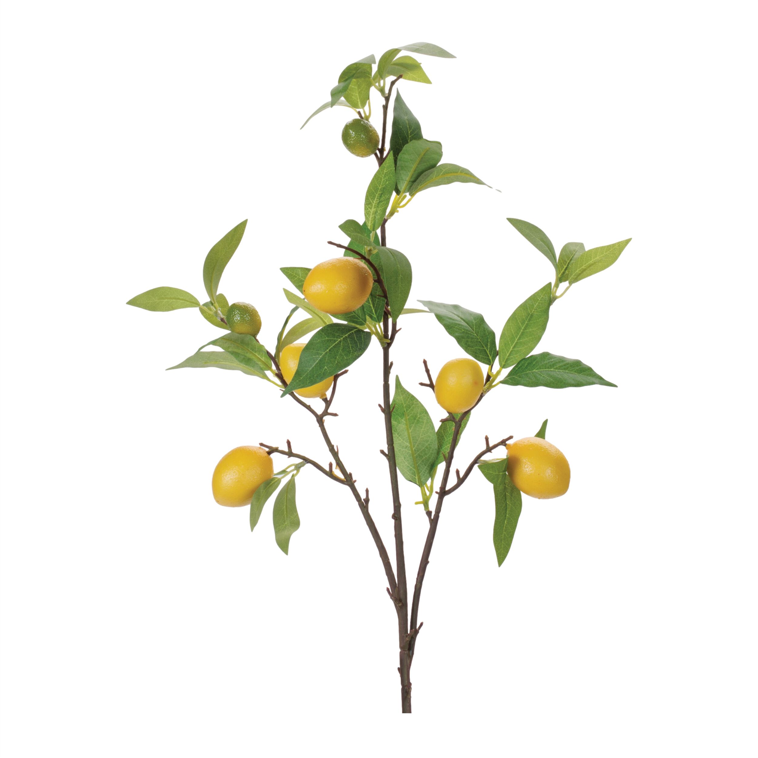 Lemon Fruit Foliage Branch Set of 6, YELLOW GREEN, hi-res image number 0