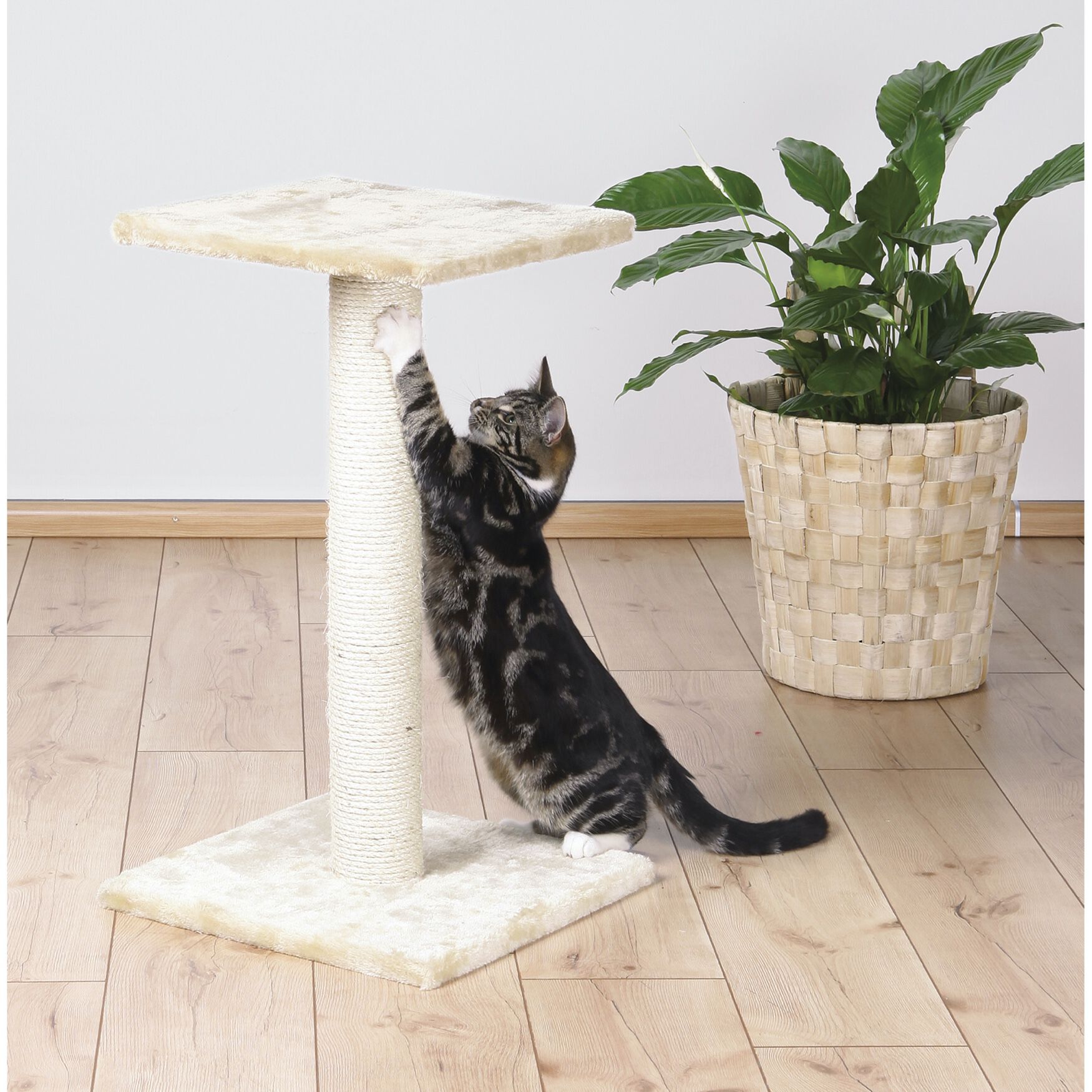 Espejo Scratching Post, , alternate image number 2