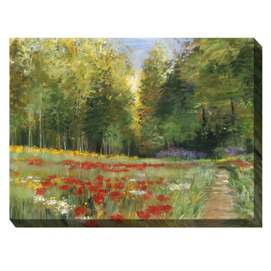 WILDERNESS WALK OUTDOOR ART 40X30, MULTI, hi-res image number null