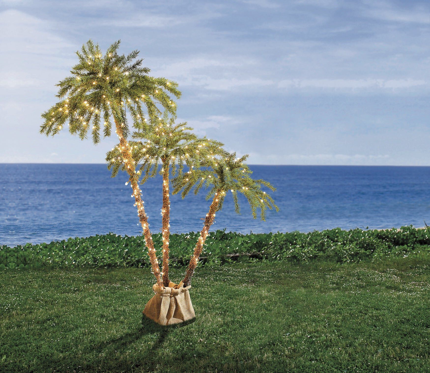 Palm Tree Collection, , hi-res image number 0