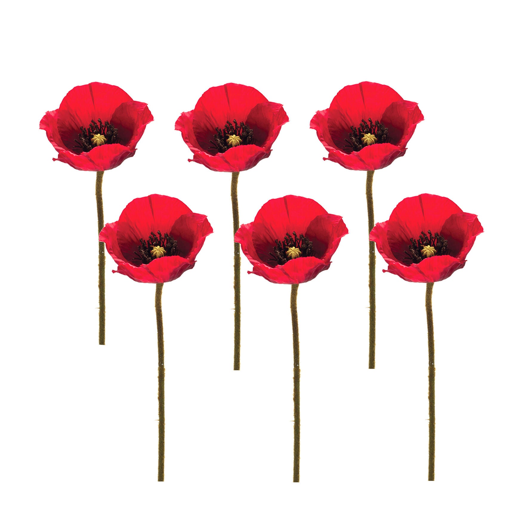 Bright Red Poppy Flower Stem (Set Of 6), , alternate image number 2