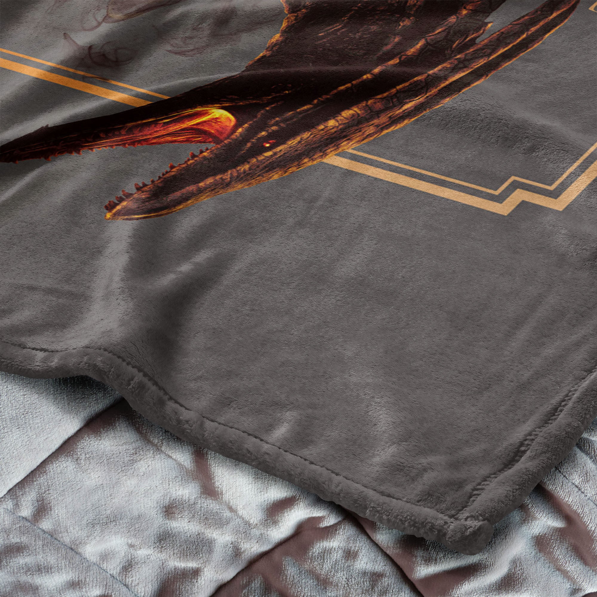 Warner Bros. House of the Dragon Let it Reign Silk Touch Throw Blanket 40x50 Inches, HOUSE DRAGON, alternate image number 4