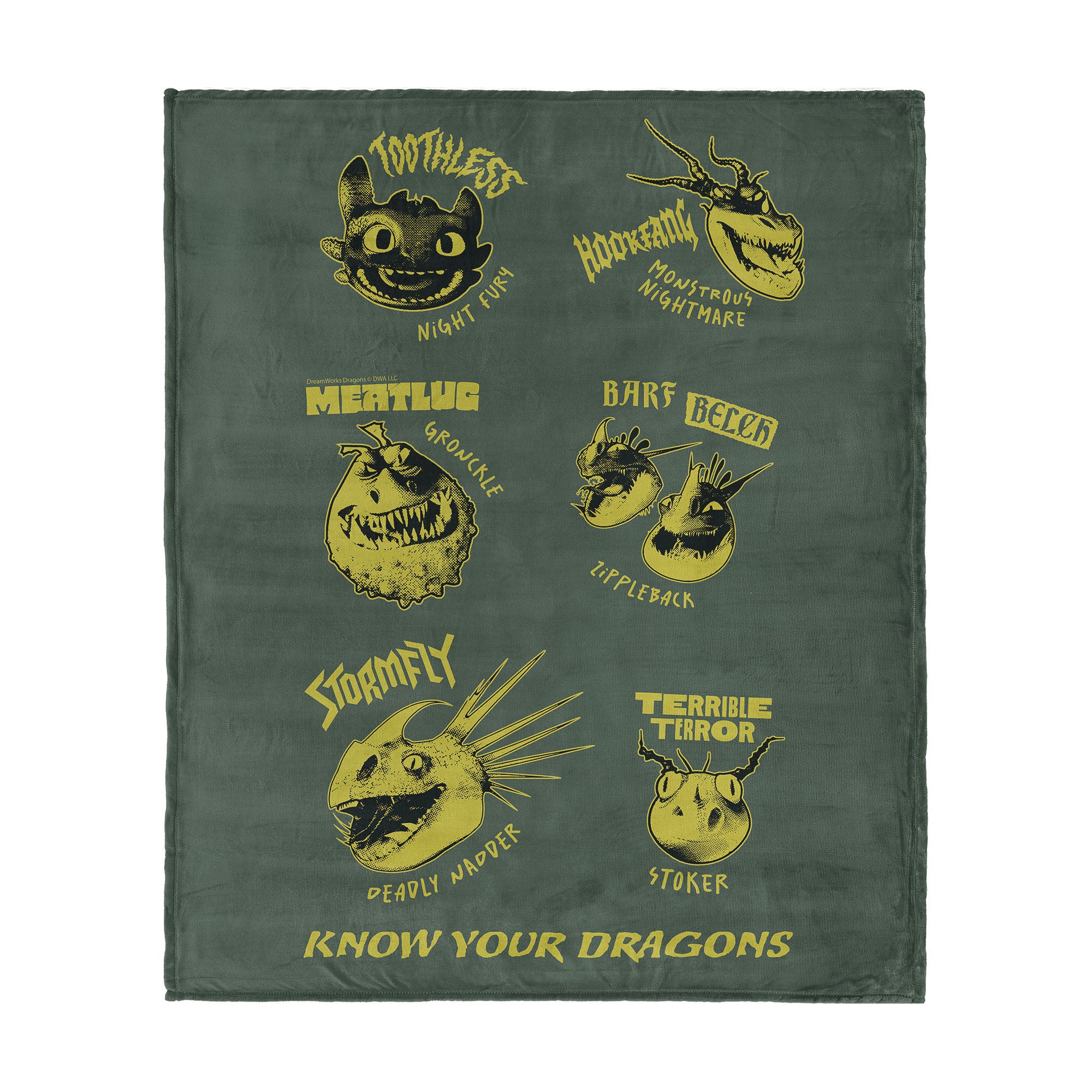 How to Train Your Dragon Know Your Dragons Silk Touch Throw Blanket 60x80 inches, KNOW YOUR DRAGONS, hi-res image number 0