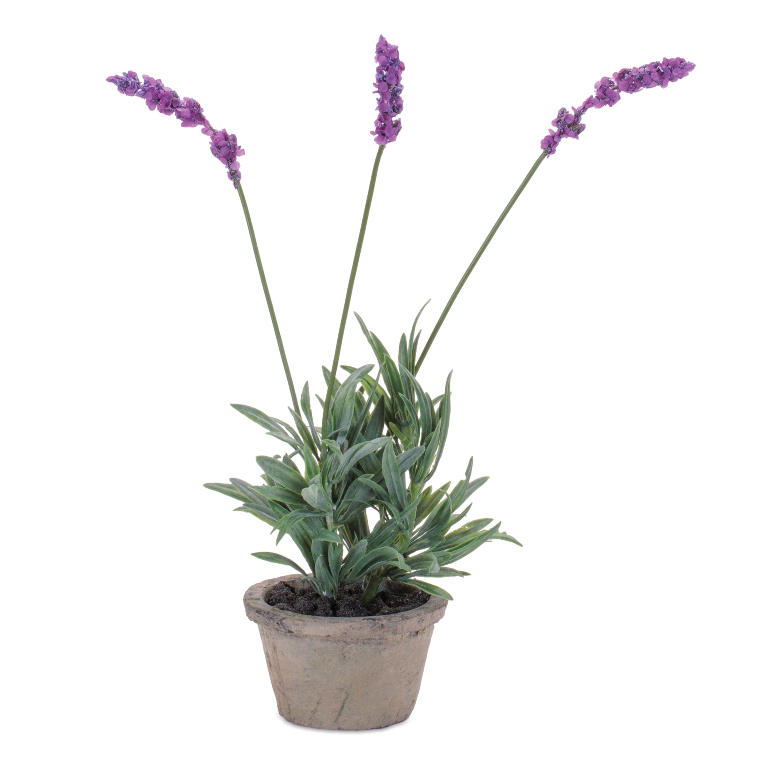 Potted Lavender 14.5INH, PURPLE GREEN GRAY, hi-res image number 0