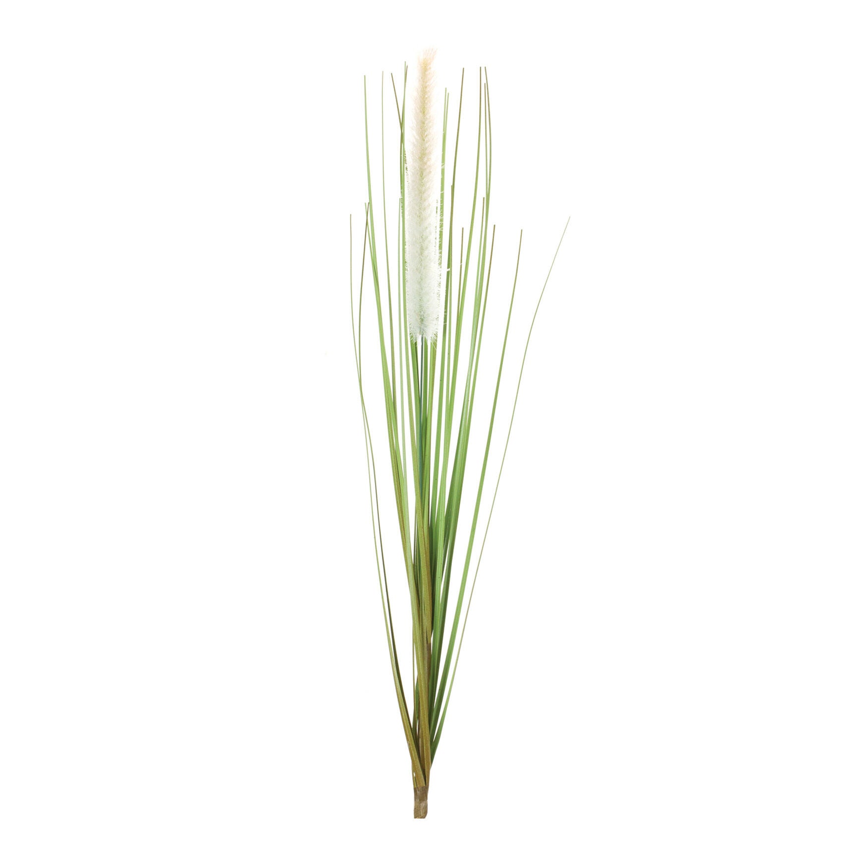 Foxtail Bush (Set Of 12), WHITE, hi-res image number 0