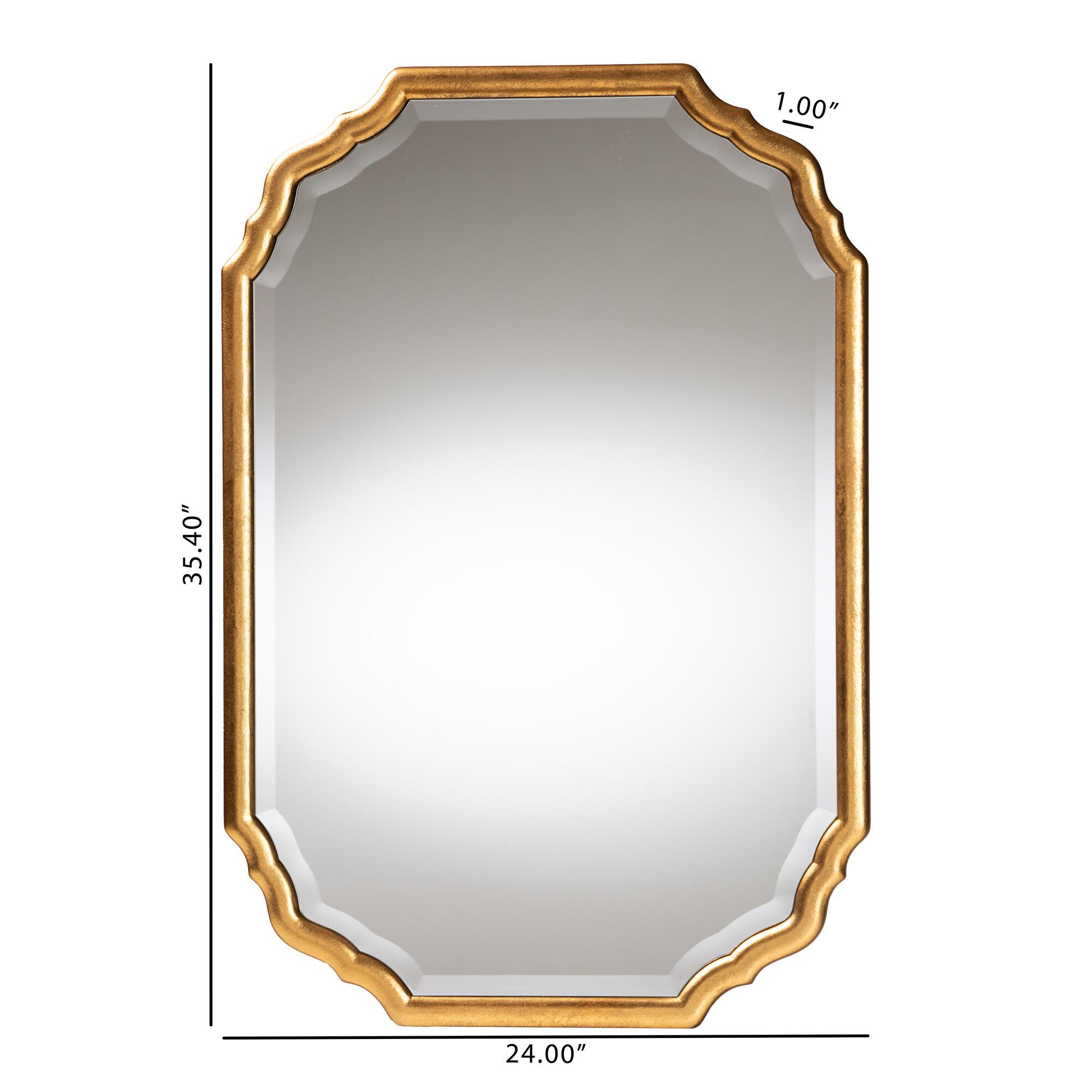 Pacino Antique Goldleaf Accent Wall Mirror, GOLDEN, alternate image number 5
