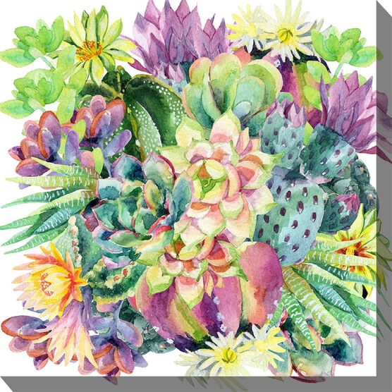 SUCCULENT BLOOMS OUTDOOR ART 24X24, MULTI, hi-res image number null