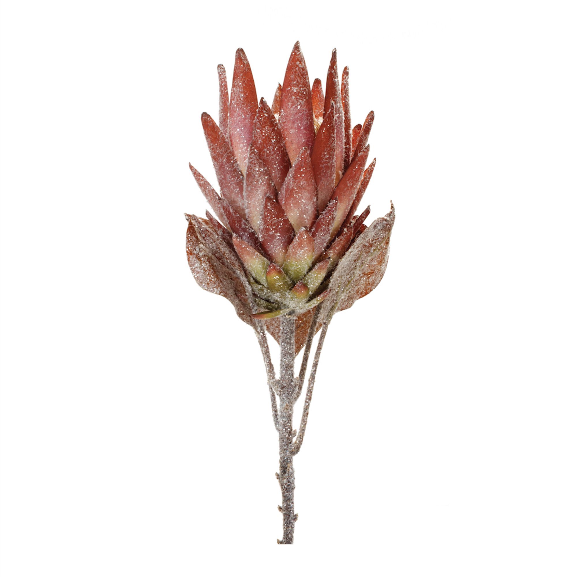 Orange Protea Flower Stem (Set of 2), ORANGE GREEN, hi-res image number 0