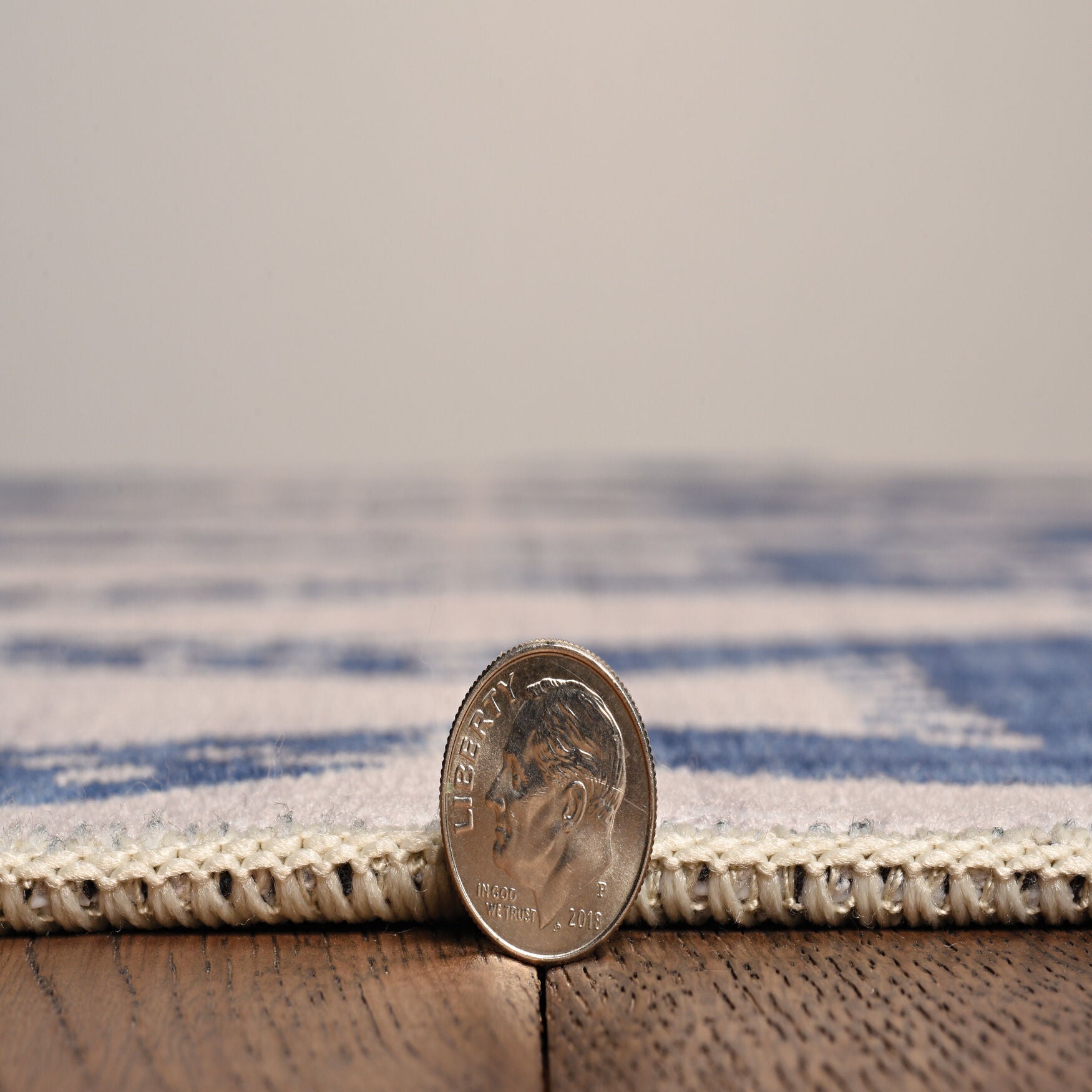 Washable Seabourne Ivory/Blue Rug, , alternate image number 2