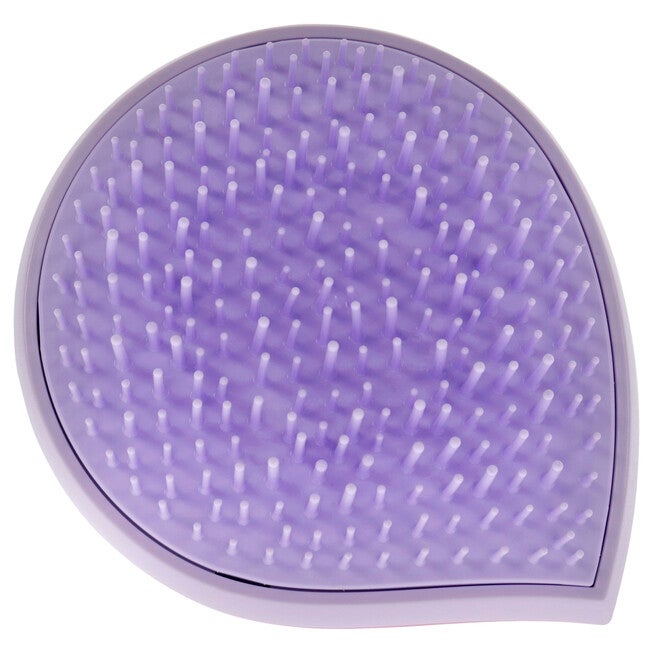 Pack and Go Detangler Fine Hair - Purple-Pink by Michel Mercier for Unisex - 1 Pc Hair Brush, NA, alternate image number null
