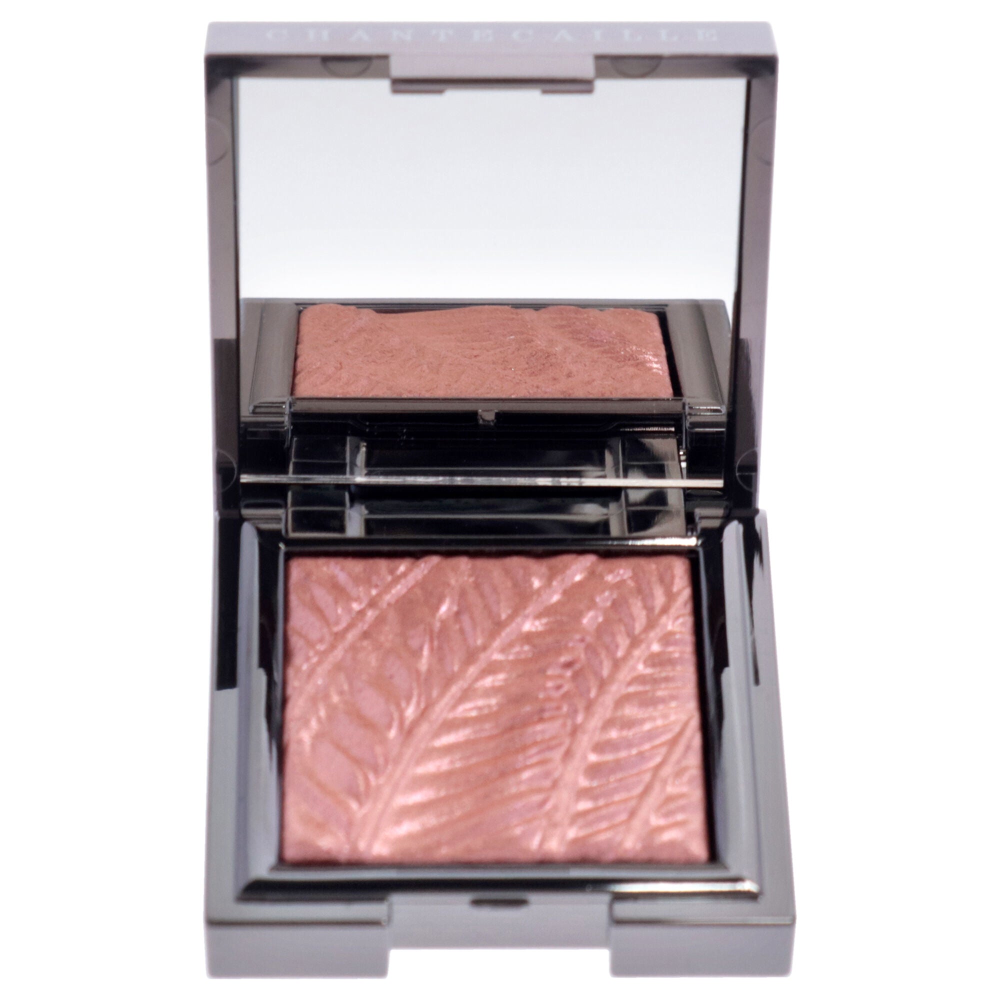 Luminescent Eye Shade - Zebra by Chantecaille for Women - 0.07 oz Eye Shadow, Brown, alternate image number 1