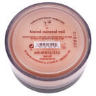 Mineral Veil Finishing Powder - Tinted by bareMinerals for Women - 0.3 oz Powder, , alternate image number null