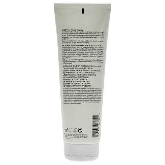 Checks and Balances Frothy Face Wash by Origins for Unisex - 8.5 oz Cleanser, NA, alternate image number null