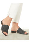 The Sola Mule, , alternate image number null