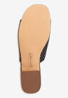 The Sola Mule, , alternate image number null