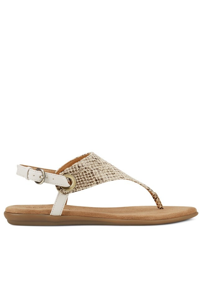 In Conchlusion Sandal , , alternate image number null