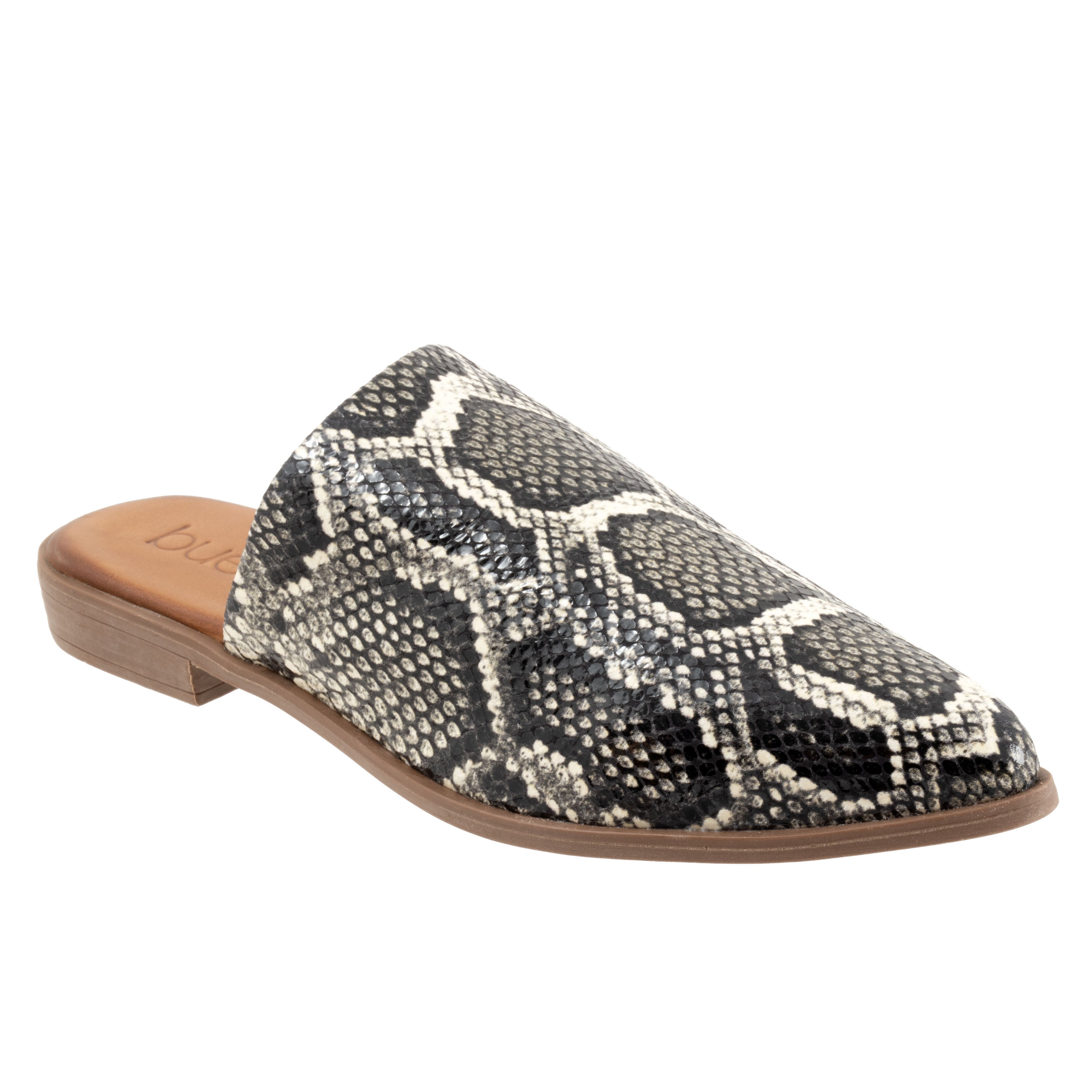 Bambi Flat, BLACK SNAKE, hi-res image number 0