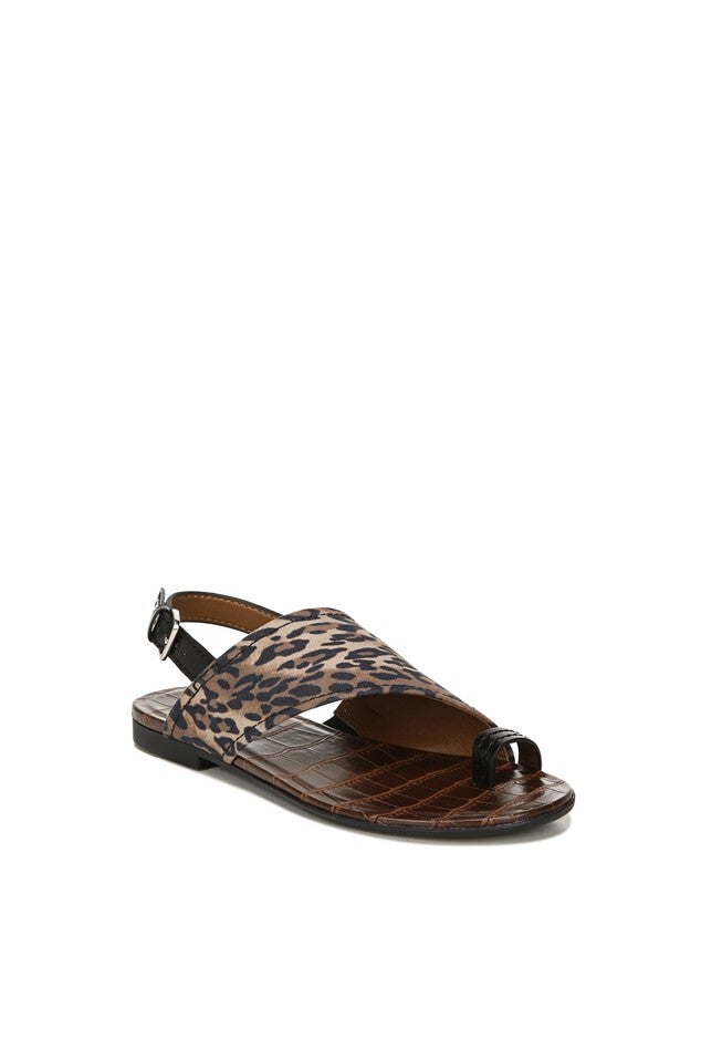 Seanna Flat , BROWN CHEETAH, hi-res image number null