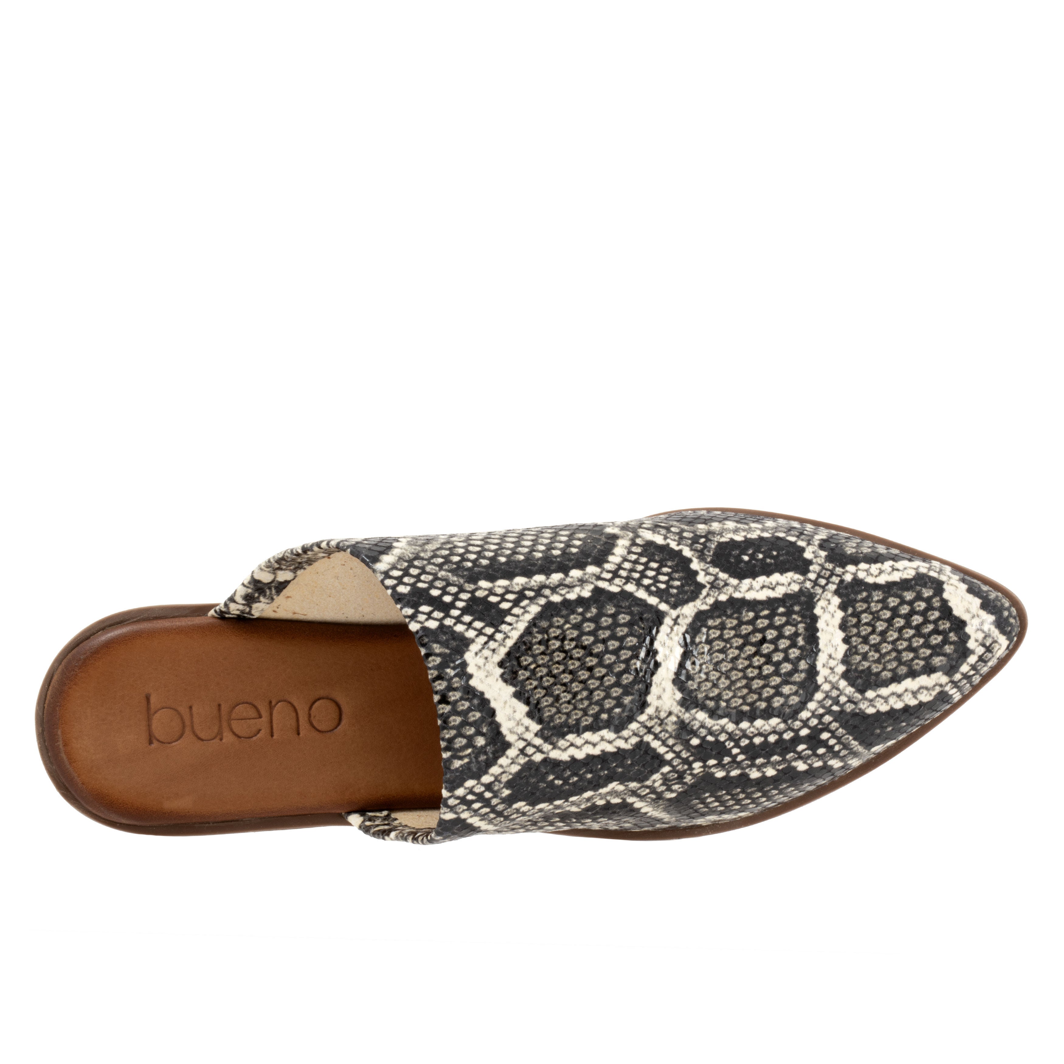 Bambi Flat, BLACK SNAKE, alternate image number 3